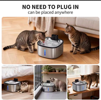 HydroPaws Automated Water Pet Fountain