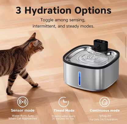 HydroPaws Automated Water Pet Fountain