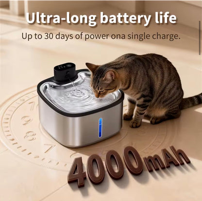 HydroPaws Automated Water Pet Fountain
